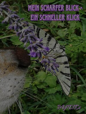 cover image of mein _scharfer_BLICK☆ein_schneller-KLICK☆IDEE+GLÜCK